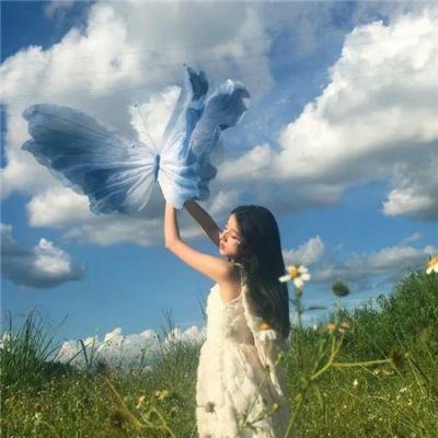 返朴 海报